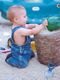 Play time! He loves the sandbox!